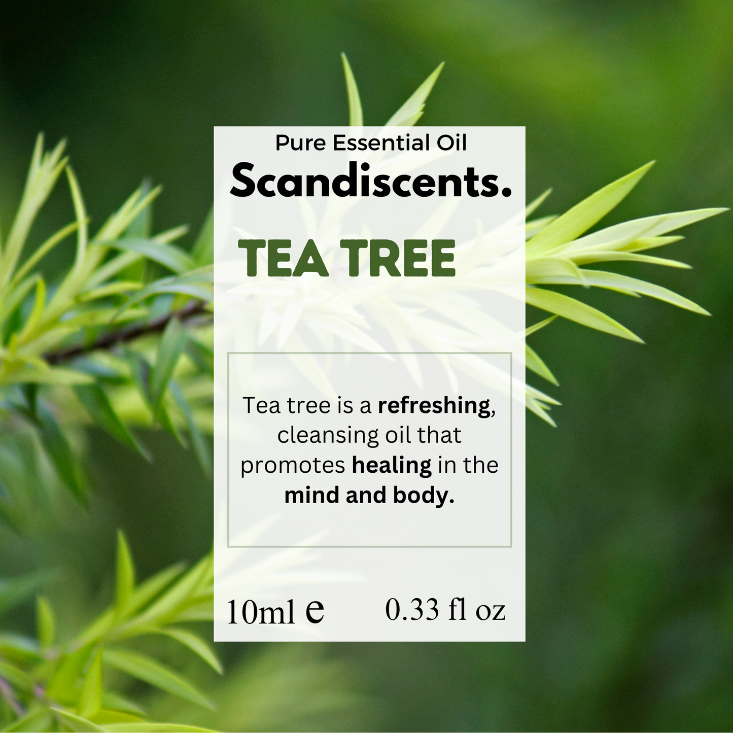 Tea Tree Essential Oil